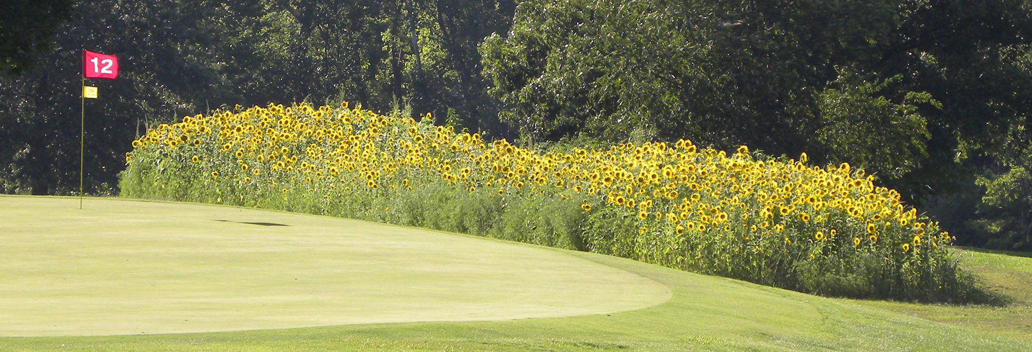 Sunflower Hills Golf Course. Click for photo gallery.
